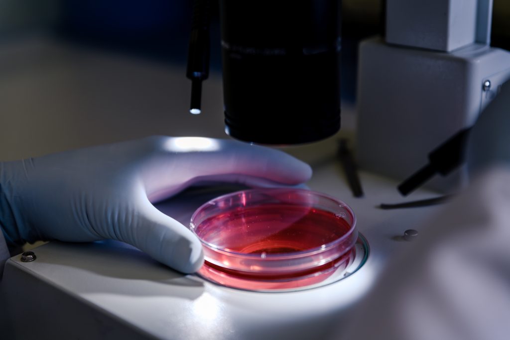 Microbiologie